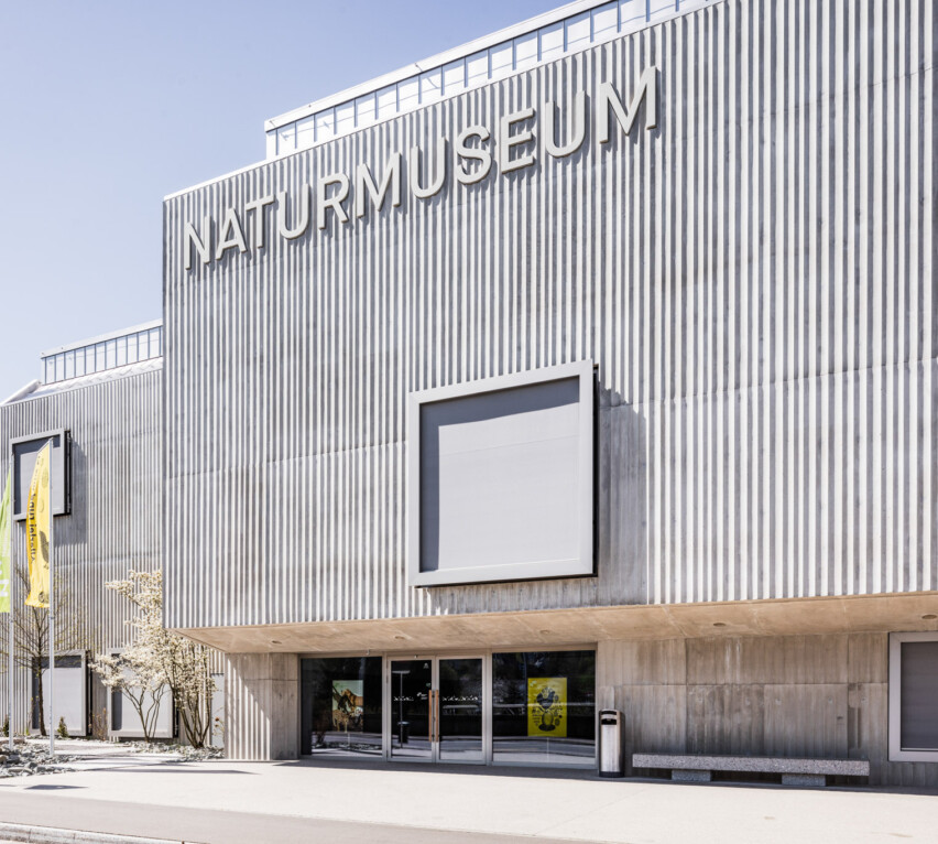 Naturmuseum, Krapf AG, RWA Fenster
