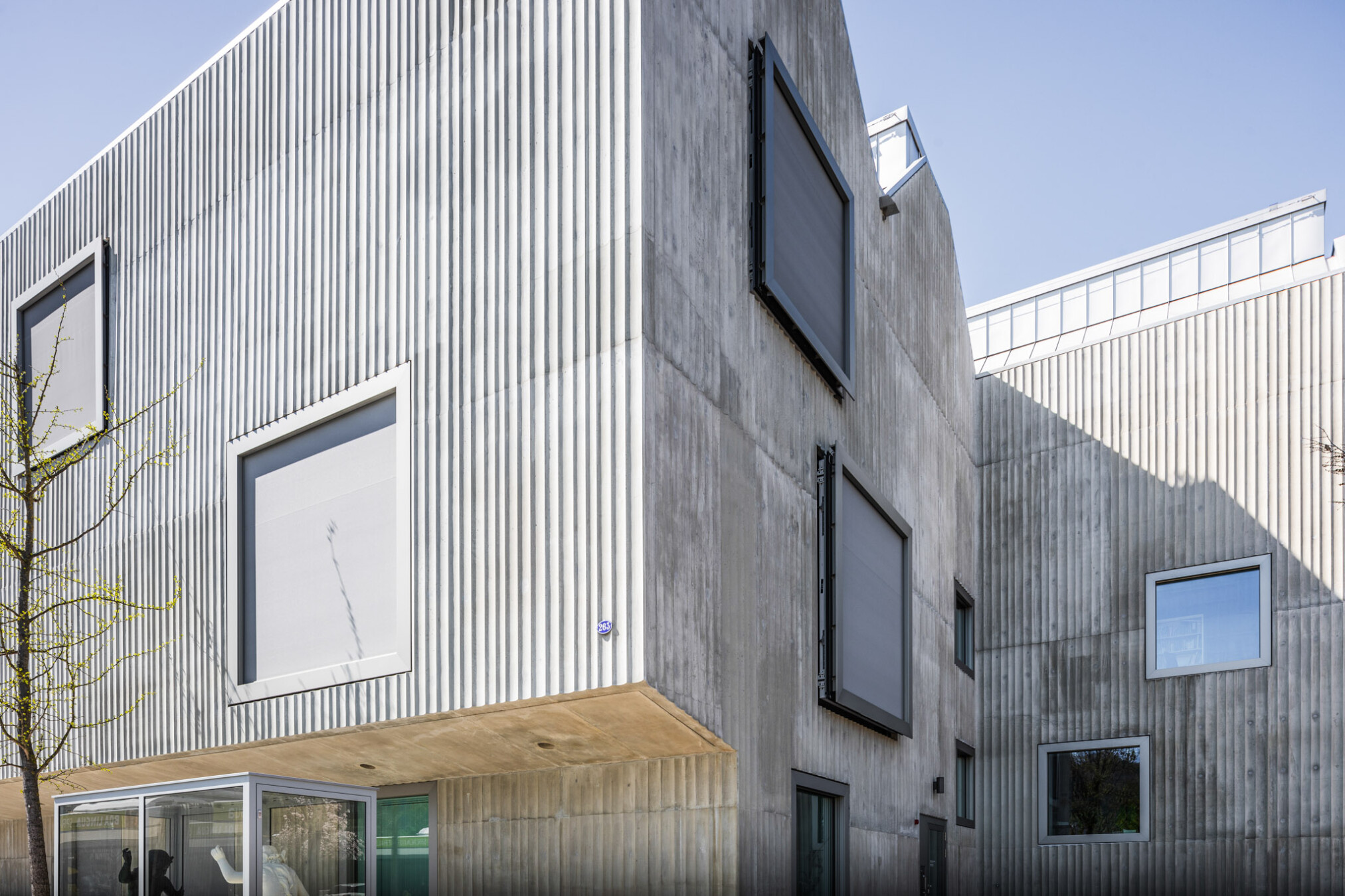Naturmuseum, Krapf AG, RWA Fenster