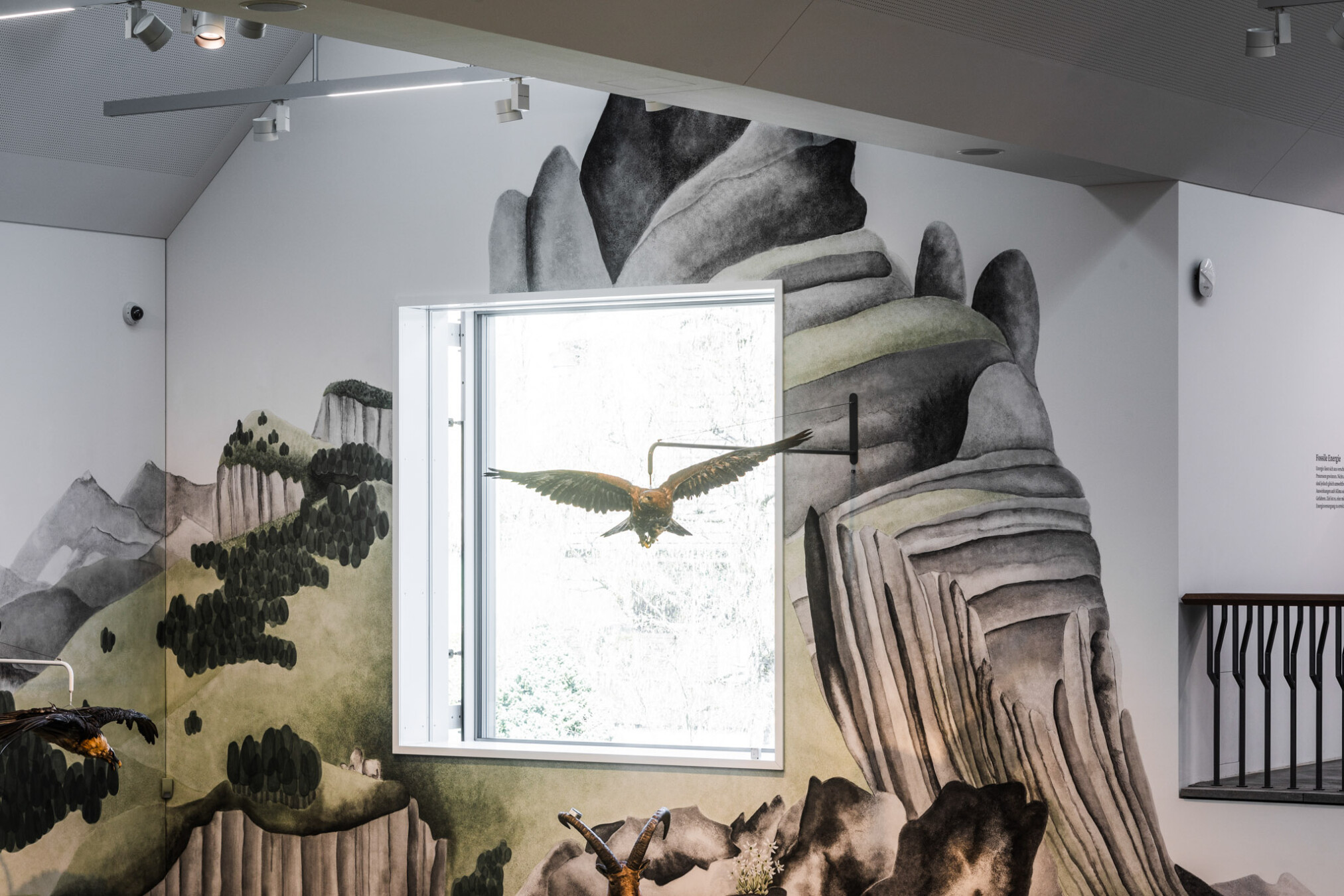 Naturmuseum, Krapf AG, RWA Fenster
