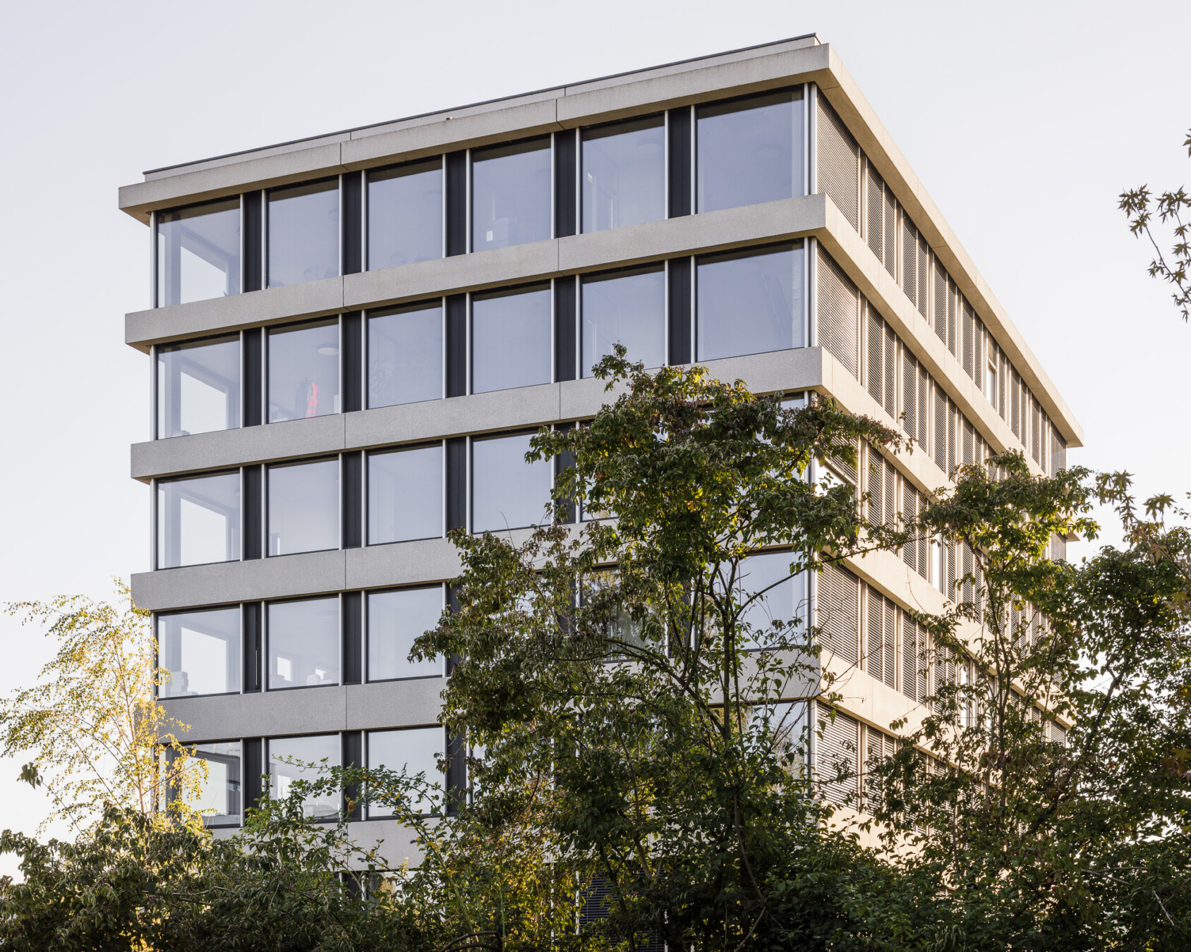 Krapf AG Referenzen Gemeindehaus Wallisellen (7)